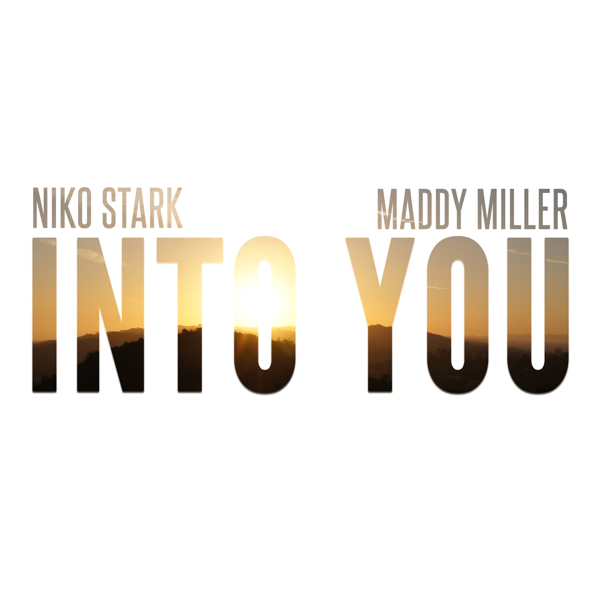 cover-into-you-niko-stark