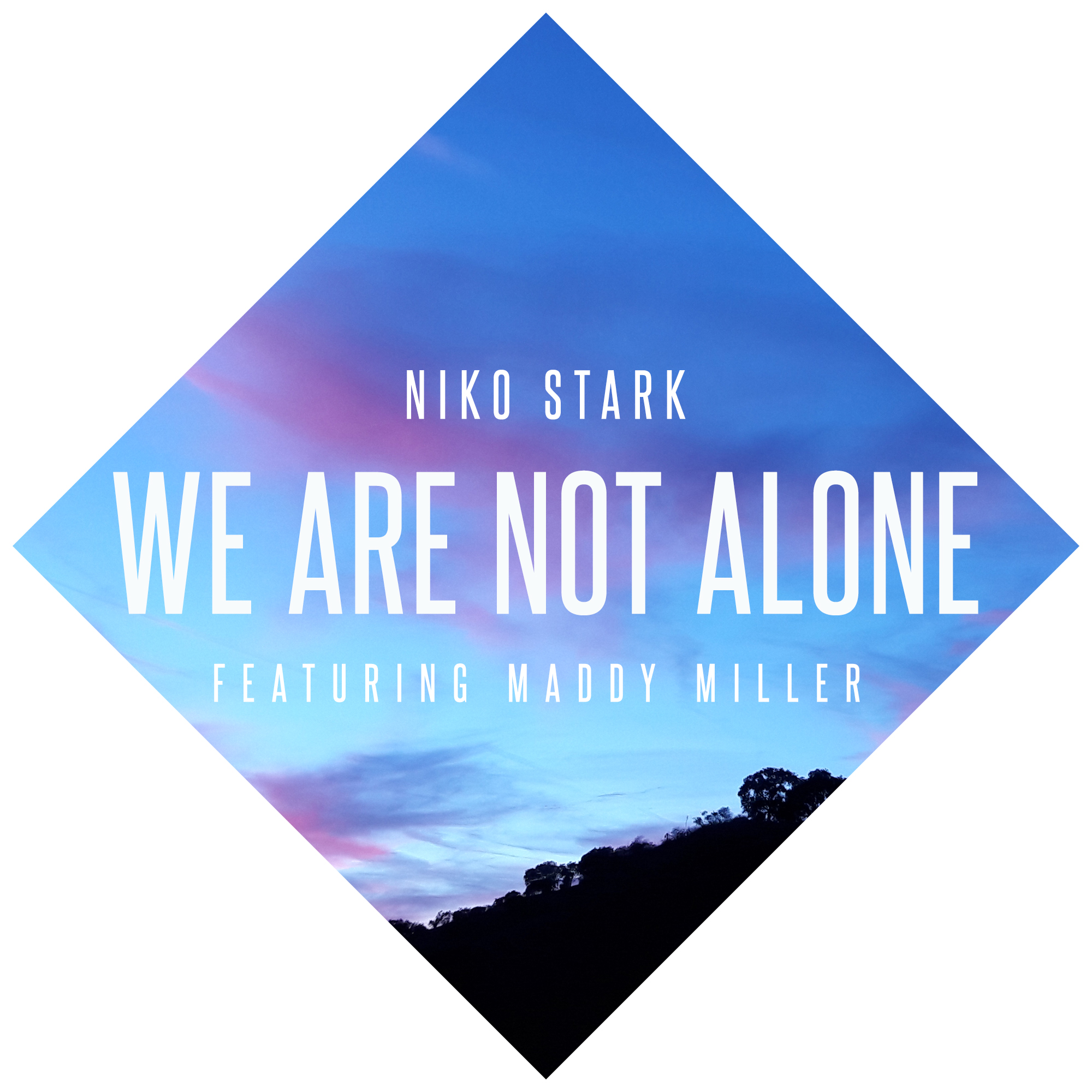 cover-we-are-not-alone-niko-stark